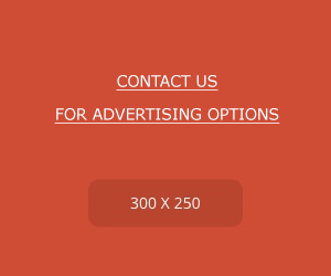 300x250advertise.jpg